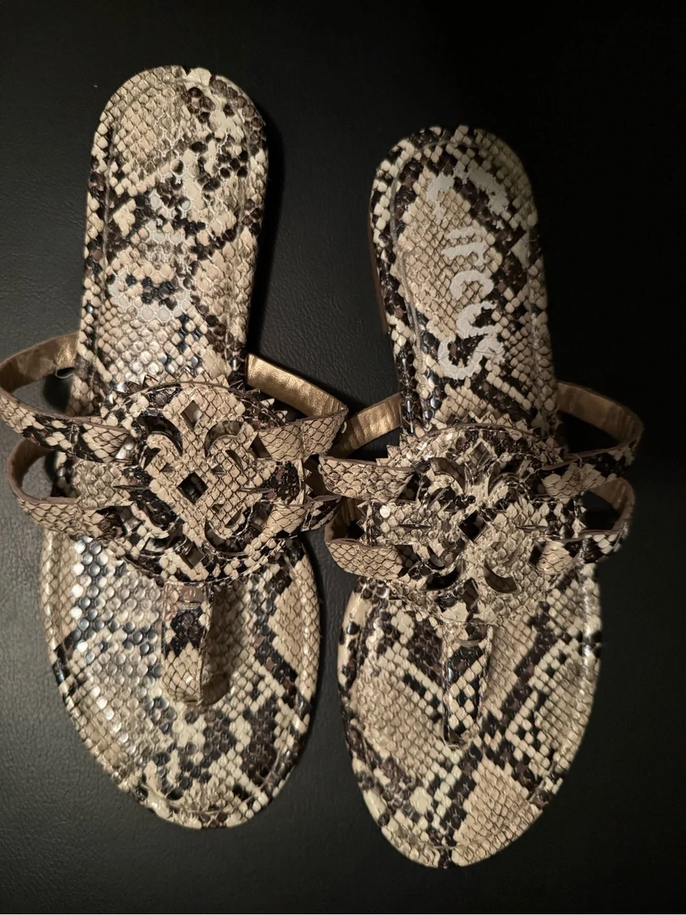 Circus by Sam Edelman Beige and Black Snake-Print Slide Sandals